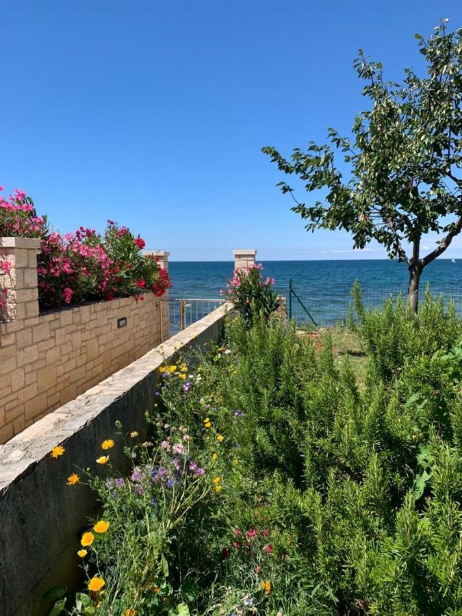 Charming Stone Cottage By The Sea Umag Eksteriør bilde