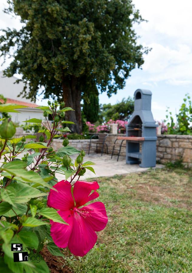 Charming Stone Cottage By The Sea Umag Eksteriør bilde